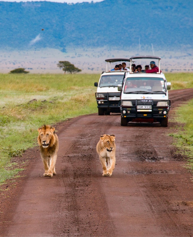 Safari at Tsavo East National Park