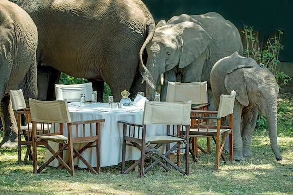 Kudu Safari Camp Experiences