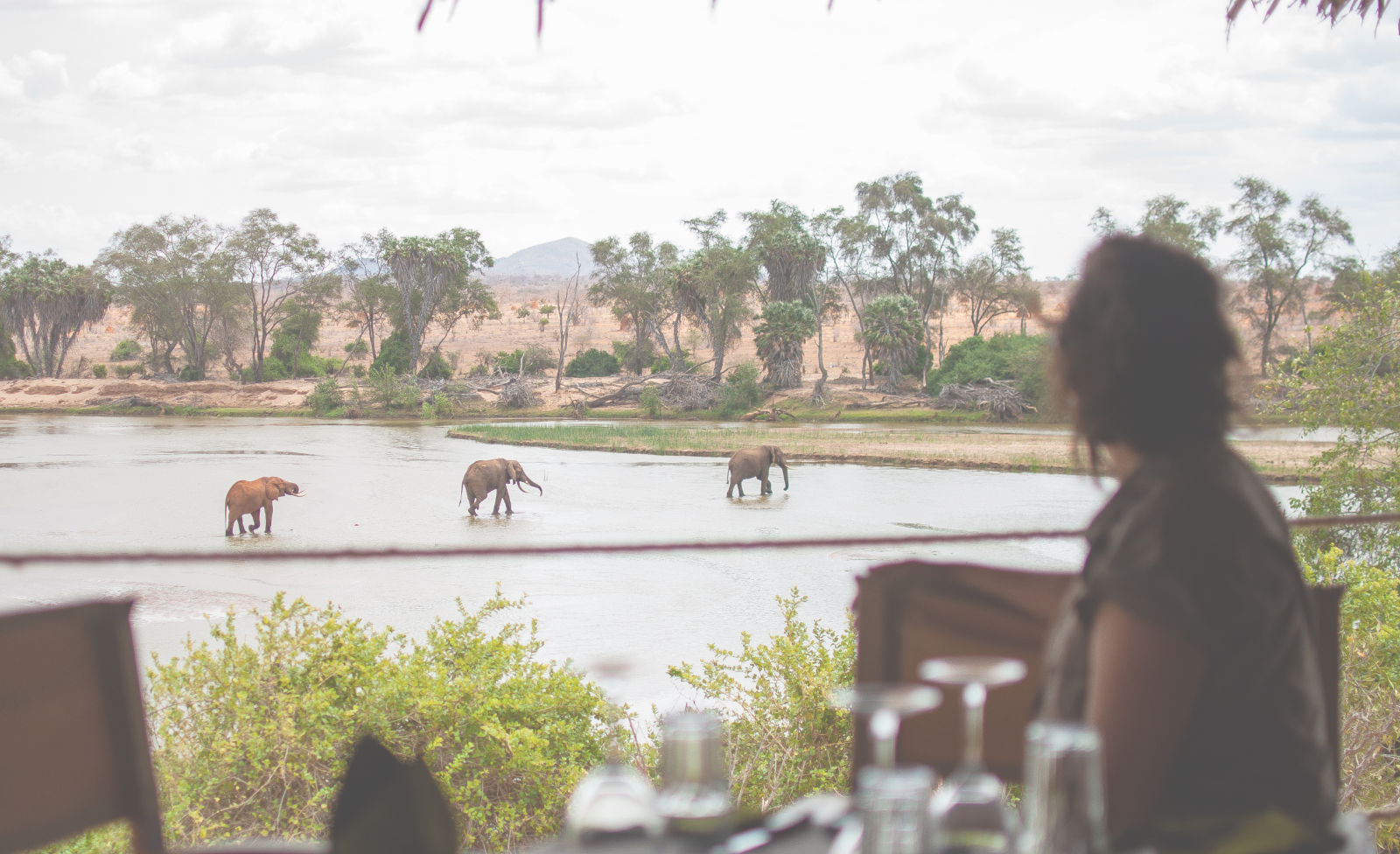 Kudu Safari Camp Wild Luxury Experience Tsavo East