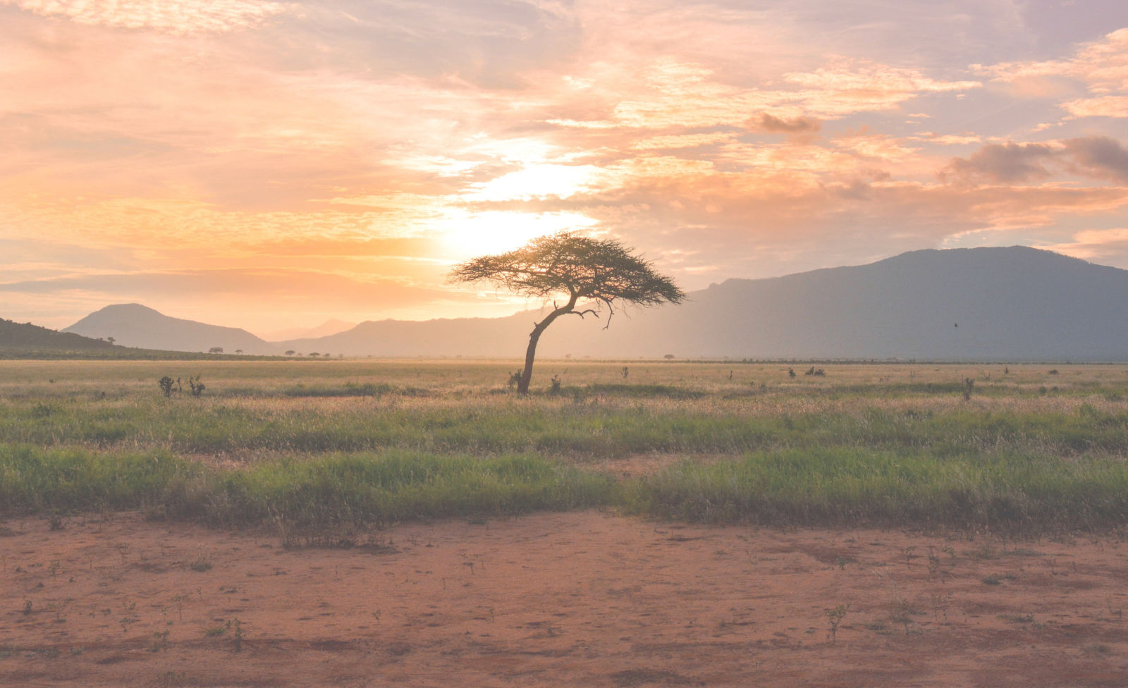 Safari Tsavo East National Park Kenya